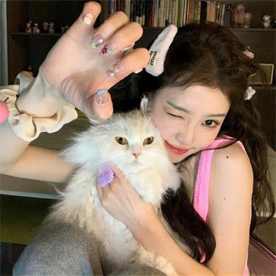 最强大脑第四季